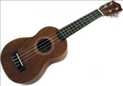 Instrument  quatre cordes pinces traditionnel des les Hawa !