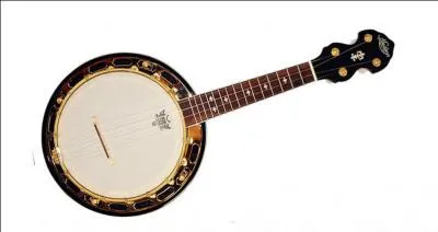 Amrique du Nord : instrument  cordes pinces driv du luth ouest-africain apport par les esclaves noirs !