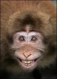 Quelle est la bonne traduction de : William didn't wake up until nearly ten o'clock ? Alors l, les amis, je vous dis  Good luck !  ou  Bonne chance !  , enfin, bon courage quoi !