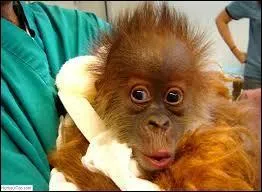 Quel pronom rflchi ne correspond pas avec son pronom personnel sujet ? Alors, on a un peu de mal  se souvenir ?