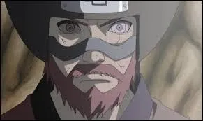 Qui est le dmon  queues de Roshi ?