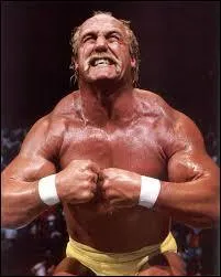 Qui est ce catcheur ?