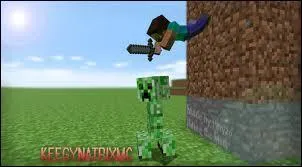 Qui est le personnage principal ?