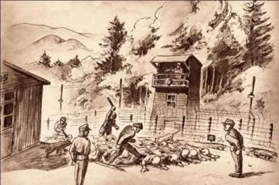 Horrible, ce mme jour, le 24 aot, les nazis dcident du transfert de 83 personnes du camp d'Auschwitz pour le camp du Struthof (Alsace annexe) pour les gazer. Pourquoi prennent-ils cette dcision ?