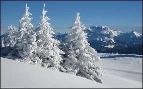 Comment la Savoie est-elle devenue française en 1860 ?