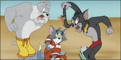 Lequel de ces personnages n'appartient pas au dessin animé "Tom et Jerry Tales" ?