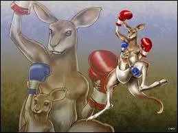 Qui sont  l'origine de la cration de Roger ?