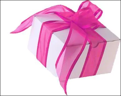 Dans ce paquet cadeau, vous dcouvrirez une bouteille d'Air du temps de :