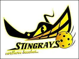 Quel est le nom de ce logo ?