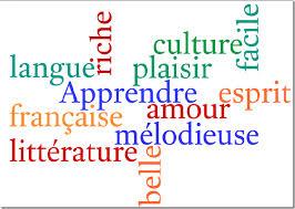 Quiz Grammaire