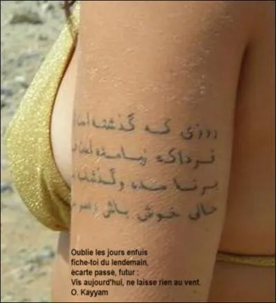 Persan et contemporain du prcdent, il est parfois considr comme un soufi : il chante l'amour, la sensualit, l'ivresse (au propre comme au figur) de Dieu, et se disait infidle mais croyant. Les agnostiques occidentaux le voient comme un de leurs frres n trop tt... Comment se nomme cet esprit libre ?