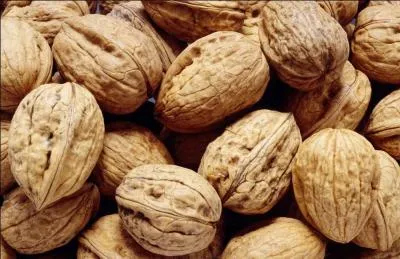  La couche arable s'amincissait  mesure qu'on approchait du vallon , qu'exprime le mot  arable  ?