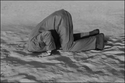 Actuellement, qu'entend-on le plus souvent par le mot  ilote  ?