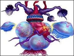 Quelle est sa dfinition ?