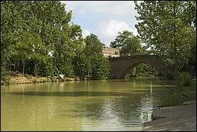 De quel fleuve la Save (148,4 km) est-elle l'affluent ?