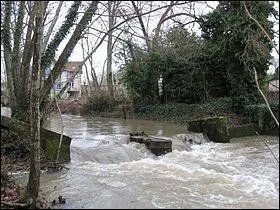 De quel fleuve le Beuvron (114,9 km) est-il l'affluent ?