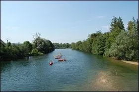 De quel fleuve l'Ain (189,9 km) est-il l'affluent ?