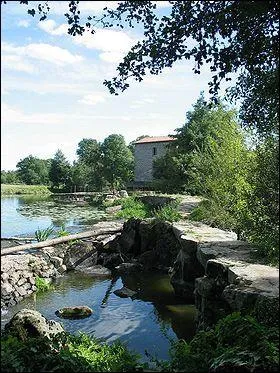 De quel fleuve la Sèvre nantaise (158,9 km) est-elle l'affluent ?