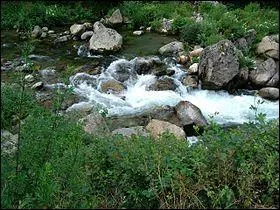 De quel fleuve l'Ariège (163,2 km) est-elle l'affluent ?