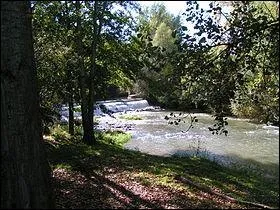 De quel fleuve la Louge (100,1 km) est-elle l'affluent ?