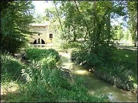 De quel fleuve l'Arrats (131 km) est-elle l'affluent ?