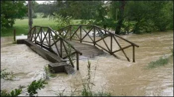 De quel fleuve la Gimone (135,7 km) est-elle l'affluent ?