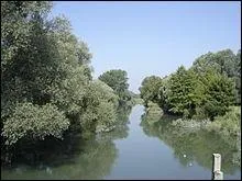 De quel fleuve la Risle (145 km) est-elle l'affluent ?