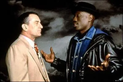 Quel est le titre de ce film ?