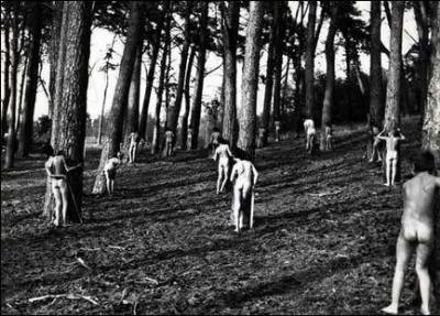 Quel meilleur argument que celui qui a t trouv par l'auteur du livre ayant donn lieu  ce film, pour justifier de la nudit des interprtes... En effet, cet argument, c'est ?