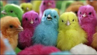 L'arc-en-ciel est compos de 7 couleurs : le rouge, l'orange, le jaune, le vert, le bleu, le violet. Il en manque une, laquelle ?