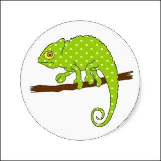 Je me sens en forme. J'ai la "baraka", je ne serai pas obligé de me faire "hara-kiri" à la fin du quiz ! Caméléon va danser la "polka" autour de moi.