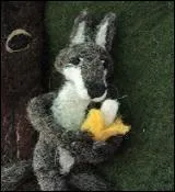 Vous tes bien un drle de  zbre  ! Vous, le loup, vous ne mangez que des  bananes  !