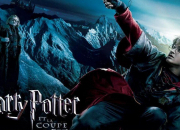 Quiz Harry Potter en folie 4