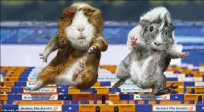 Quel athlte franais fut champion olympique de ce sport ?