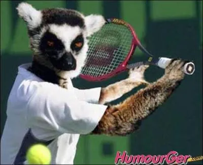 Qui est ce champion de tennis ?