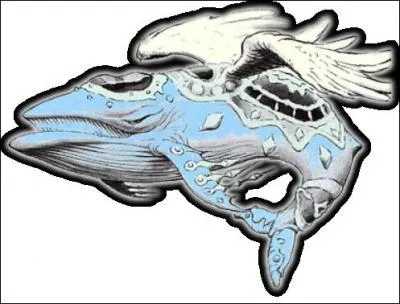 Dans quel jeu ce personnage apparat-il ?