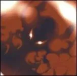 En qui ce dieu se rincarne-t-il ?