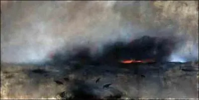 Pourquoi les corbeaux sont-ils des mal-aims alors qu'ils figurent parmi les animaux les plus intelligents ? Cochez la mauvaise proposition.