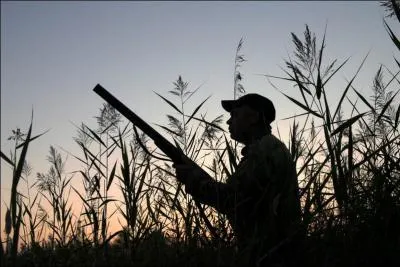 Vous aimeriez travailler avec des animaux, alors vous pouvez devenir  agent technique de l'environnement . Dans quelle structure ? Cochez la mauvaise proposition.