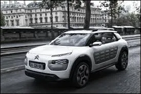 Ce nouveau modle Citron est une C4 Chardon.