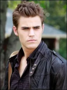 Qui a transform Stefan ?