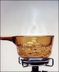 Pour que les haricots blancs cuisent il faut que l'eau ...  100. Ce n'est pas le cas si l'on est en altitude. On ajoute alors un peu de bicarbonate de soude.