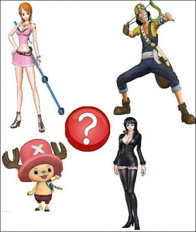 Quel a t le sixime membre de l'quipage au Chapeau de paille  tre recrut par le capitaine ?