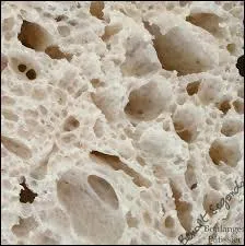 Le mot commence par : Raie