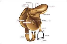 Le mot commence par : Sar