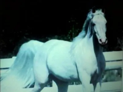 Comment se nomme cette couleur de robe ?