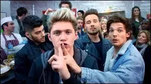 Tout  la fin du clip Midnight memories, o sont les 1D ?