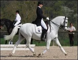 Quelle est cette race ?