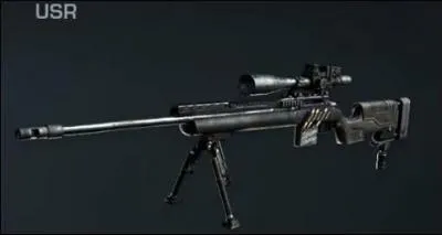 Quelle est cette arme ? (Sniper fictif possdant de gros dgts au niveau du buste)