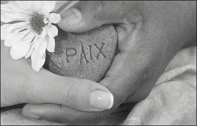 A quel vgtal la colombe est-elle associe dans le symbole de paix ?